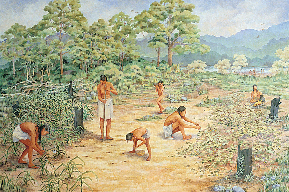 Woodland Indians first developed farming in Tennessee.
