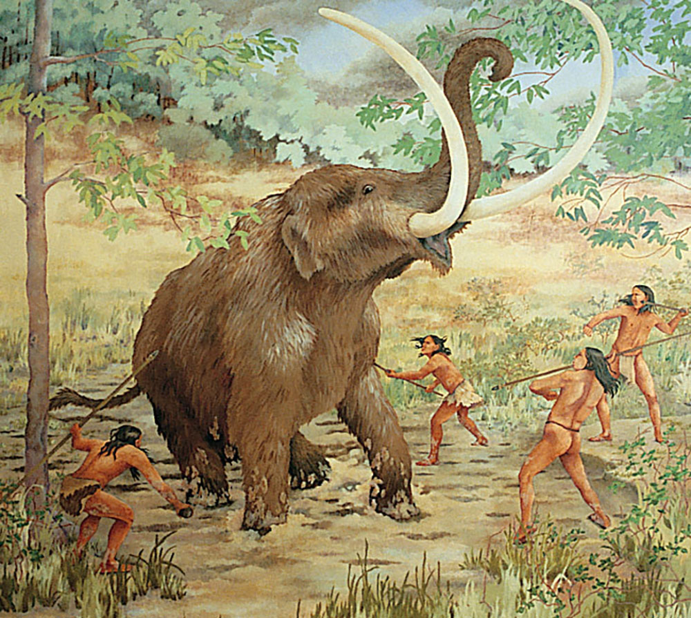 Early man hunted mastodon that roamed during the last Ice Age.